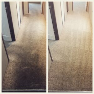 rug cleaning san antonio