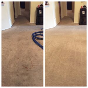 carpet cleaning in san antonio