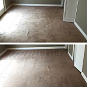 Pet Urine Stain Removal, best professional carpet cleaning san antonio