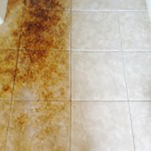 Tile & Grout Cleaning Services Before and After Beyer