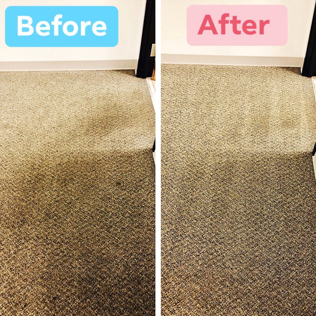 Before And After Carpet Cleaning San Antonio