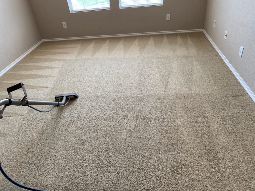 Best Carpet Cleaners in San Antonio