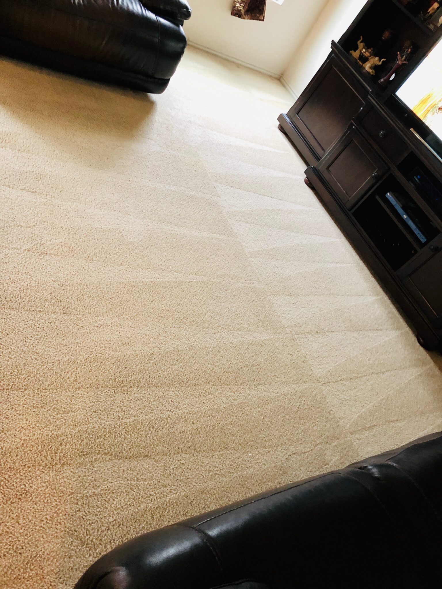 Photo Gallery Beyer Carpet Cleaning