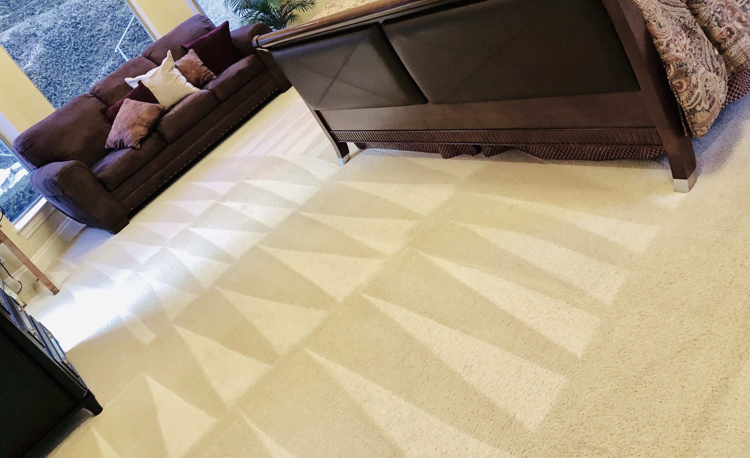 Carpet Cleaning San Antonio