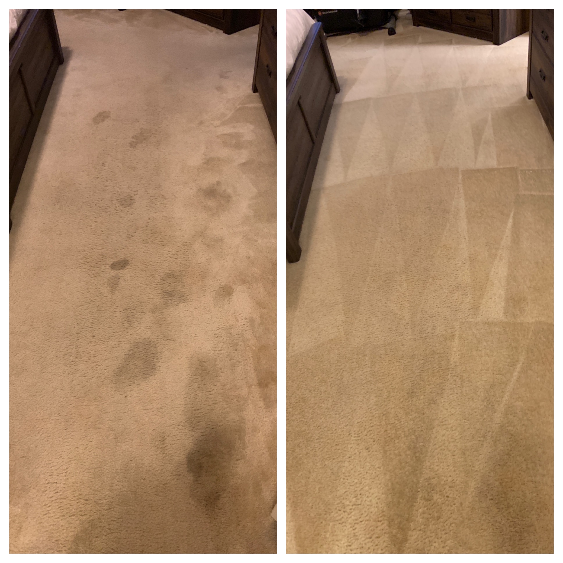 Before And After Carpet Cleaning San Antonio