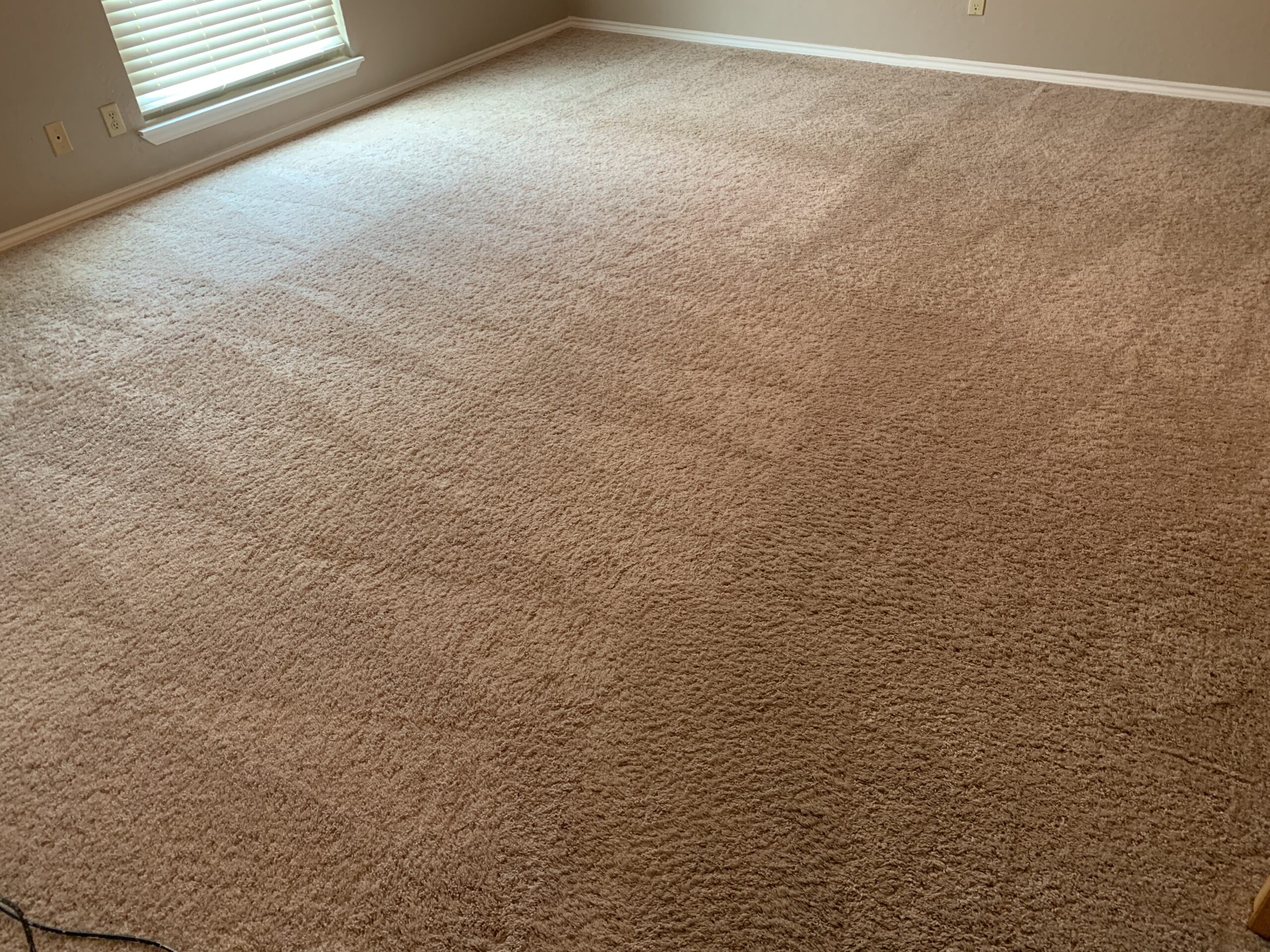 Carpet Cleaning San Antonio