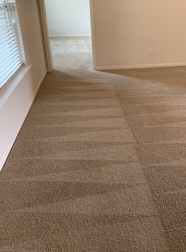 Photo Gallery Beyer Carpet Cleaning
