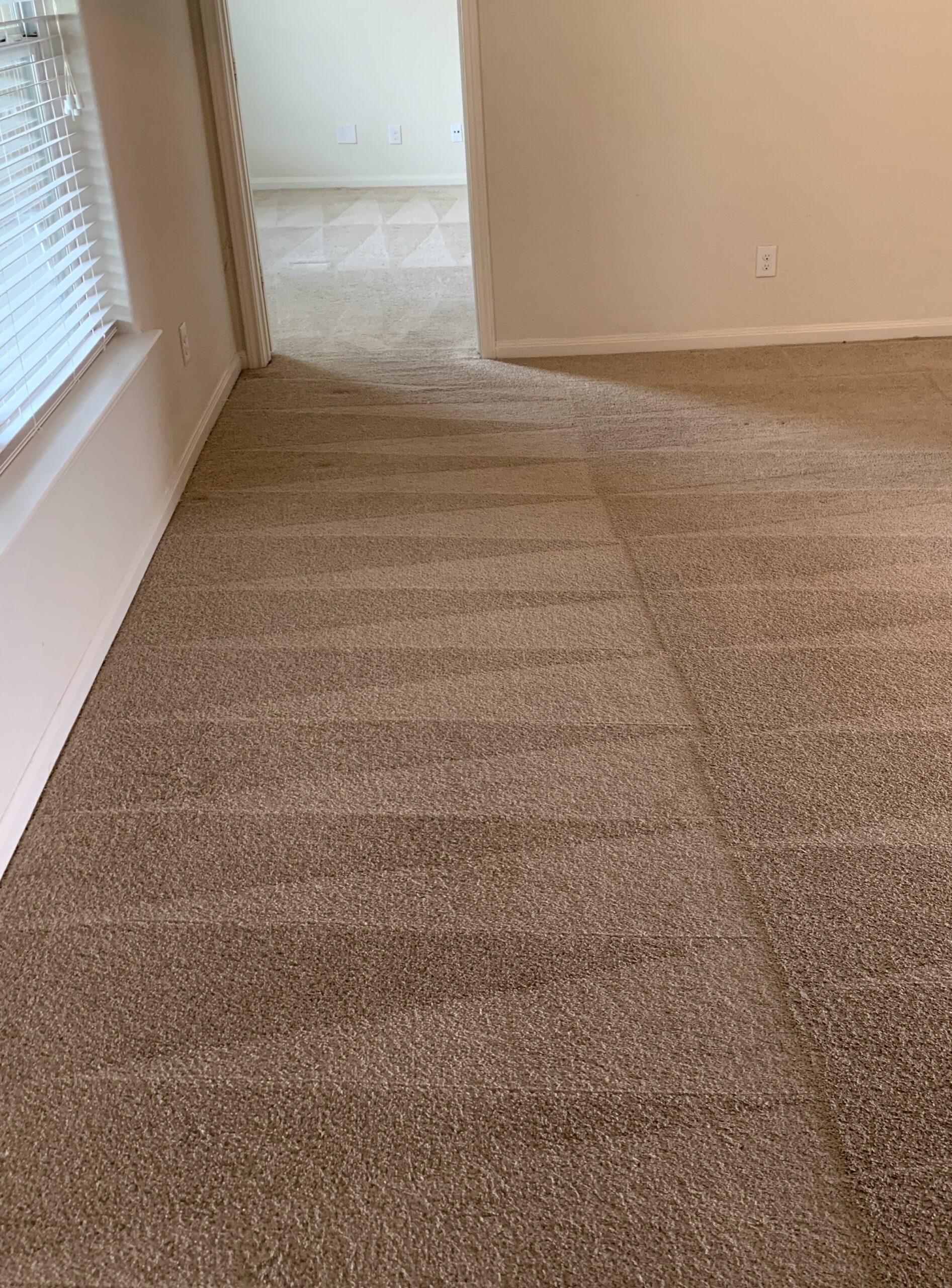 Best Carpet Cleaners in San Antonio