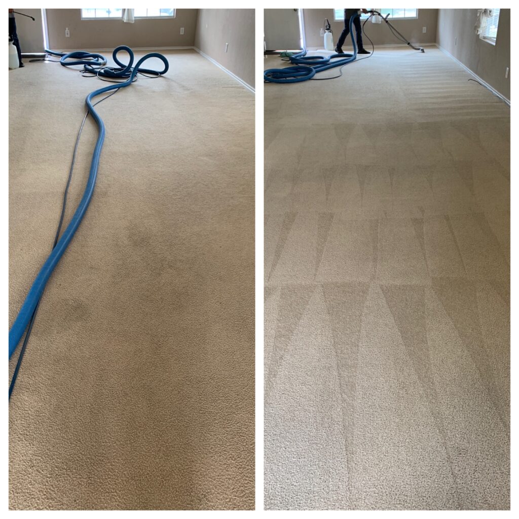 Before And After Carpet Cleaning San Antonio