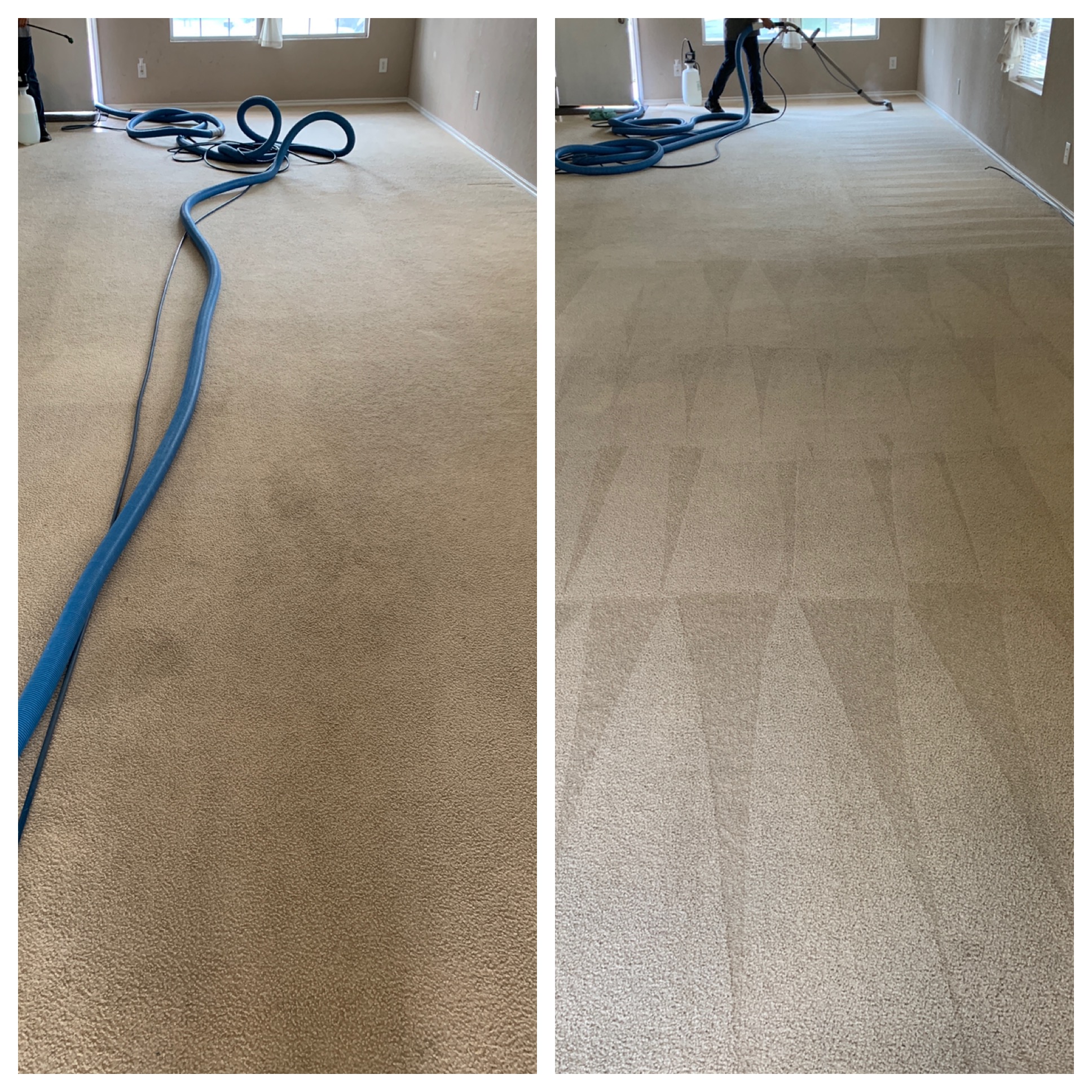 Before And After Carpet Cleaning San Antonio