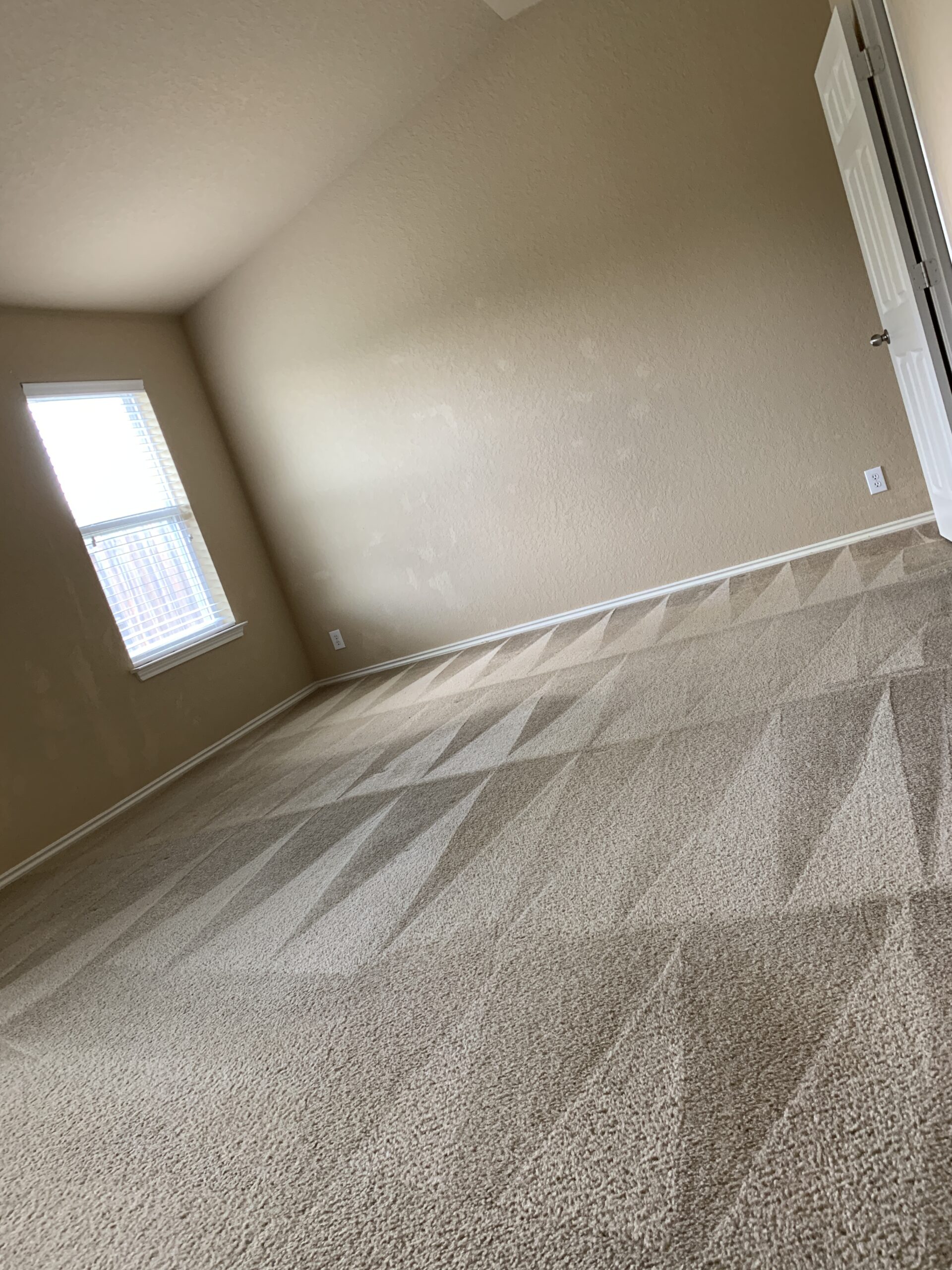 Best Carpet Cleaners in San Antonio