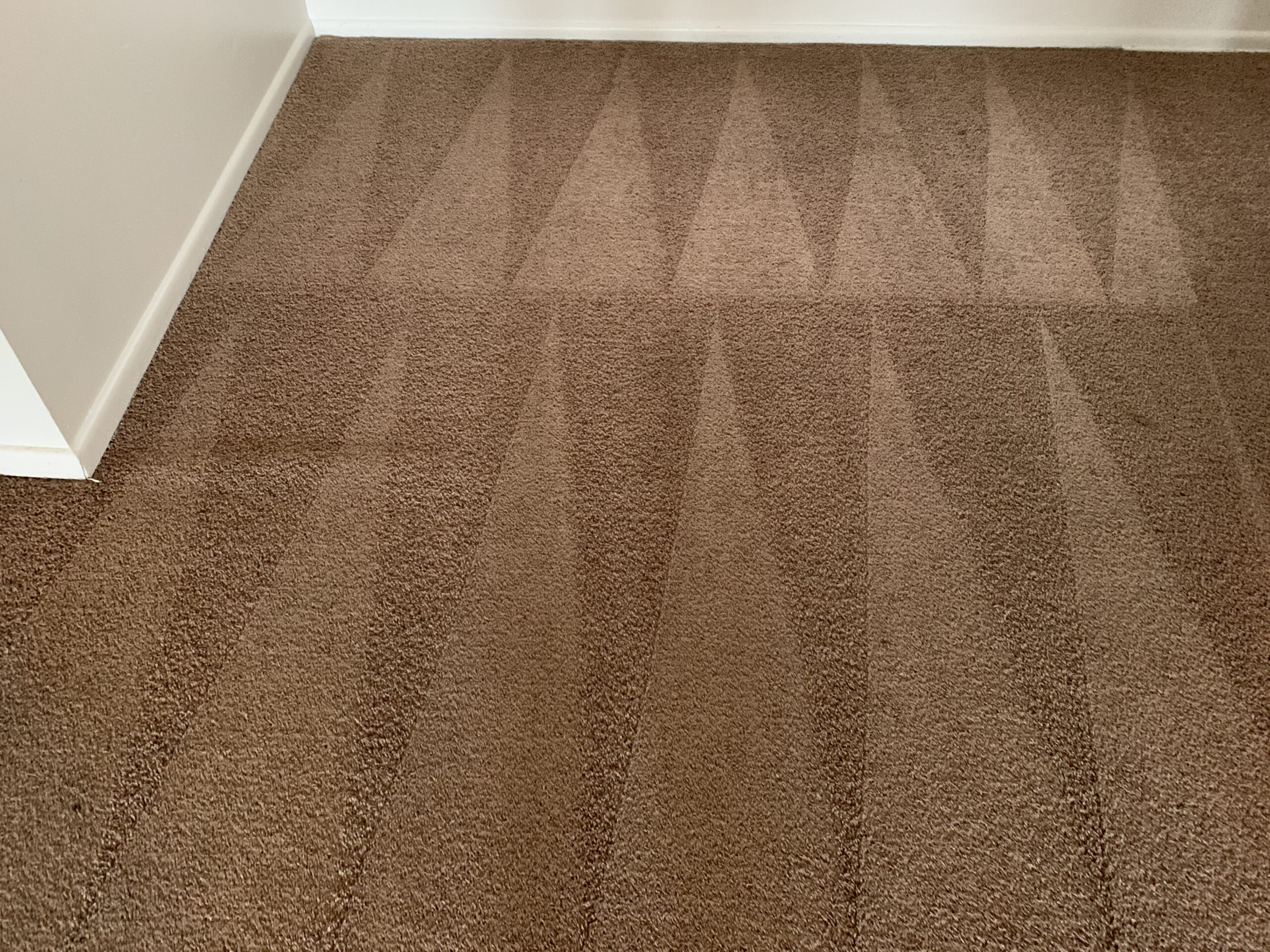 Carpet Cleaning San Antonio