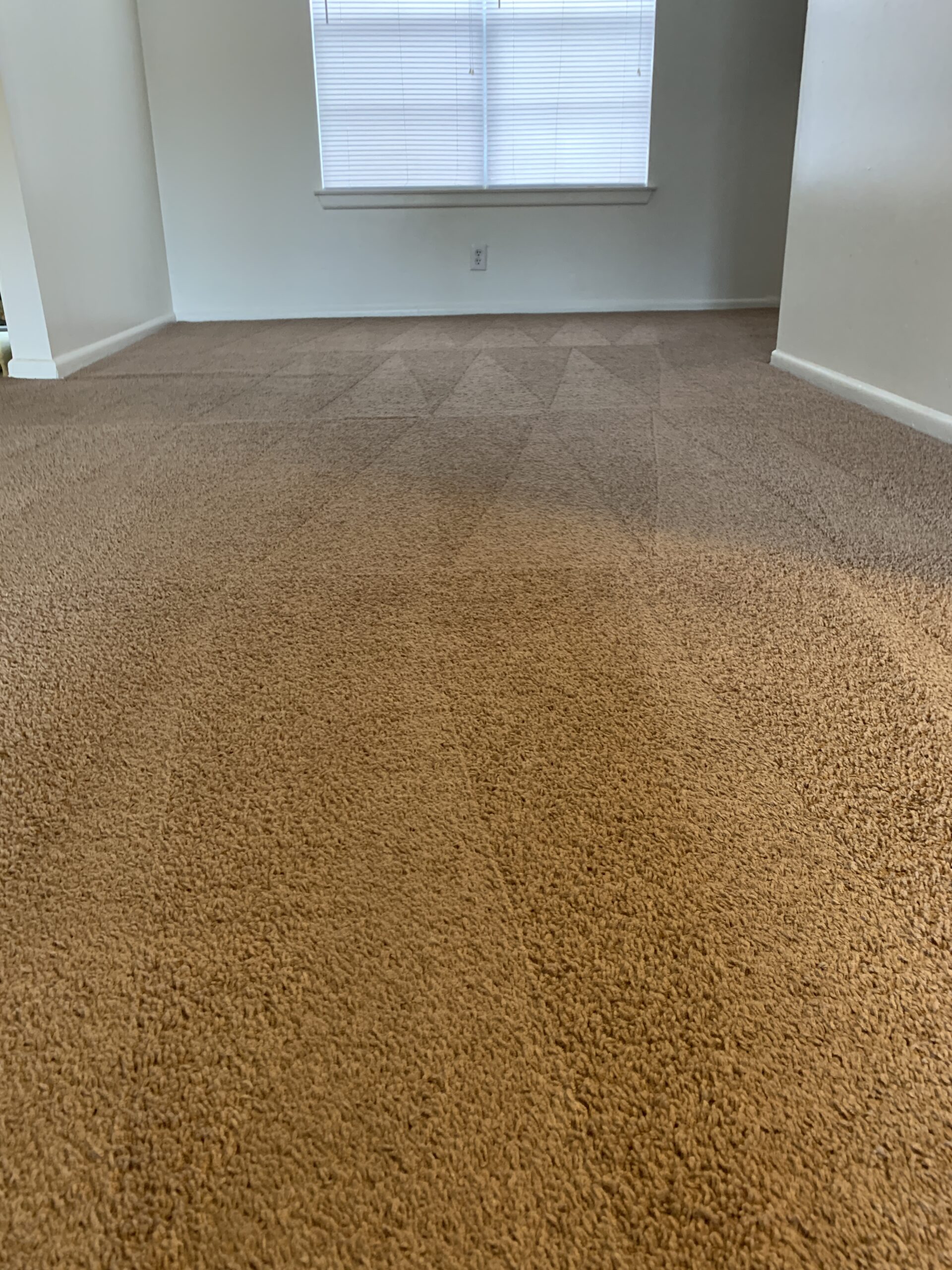 Carpet Cleaning San Antonio