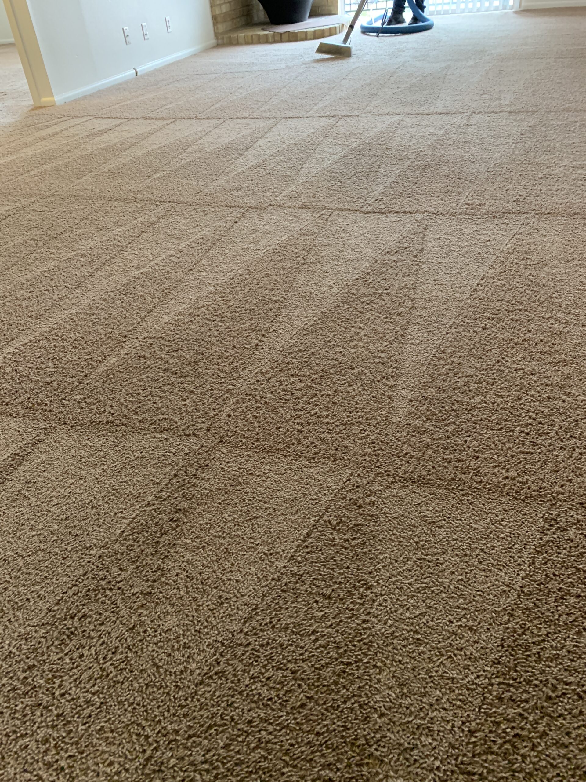 Carpet Cleaning San Antonio