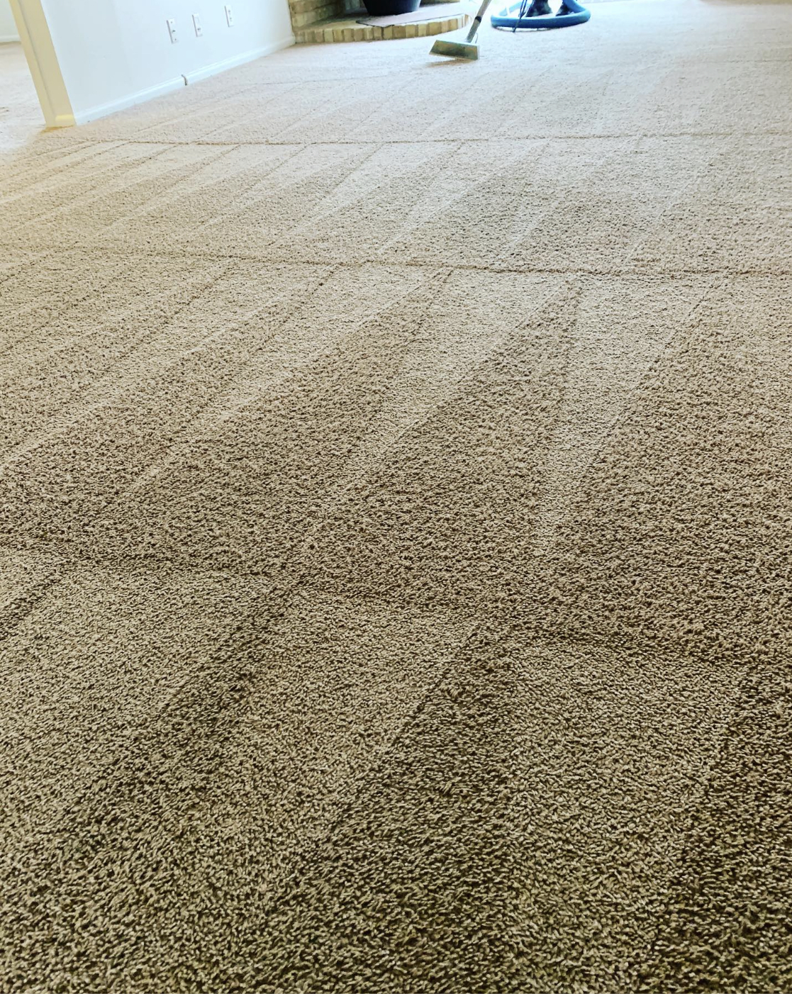 Carpet Cleaning San Antonio