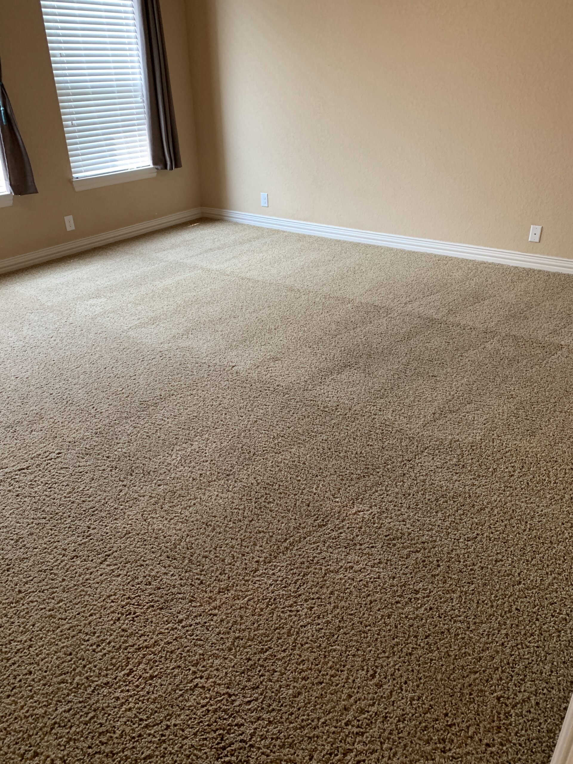 Carpet Cleaning San Antonio