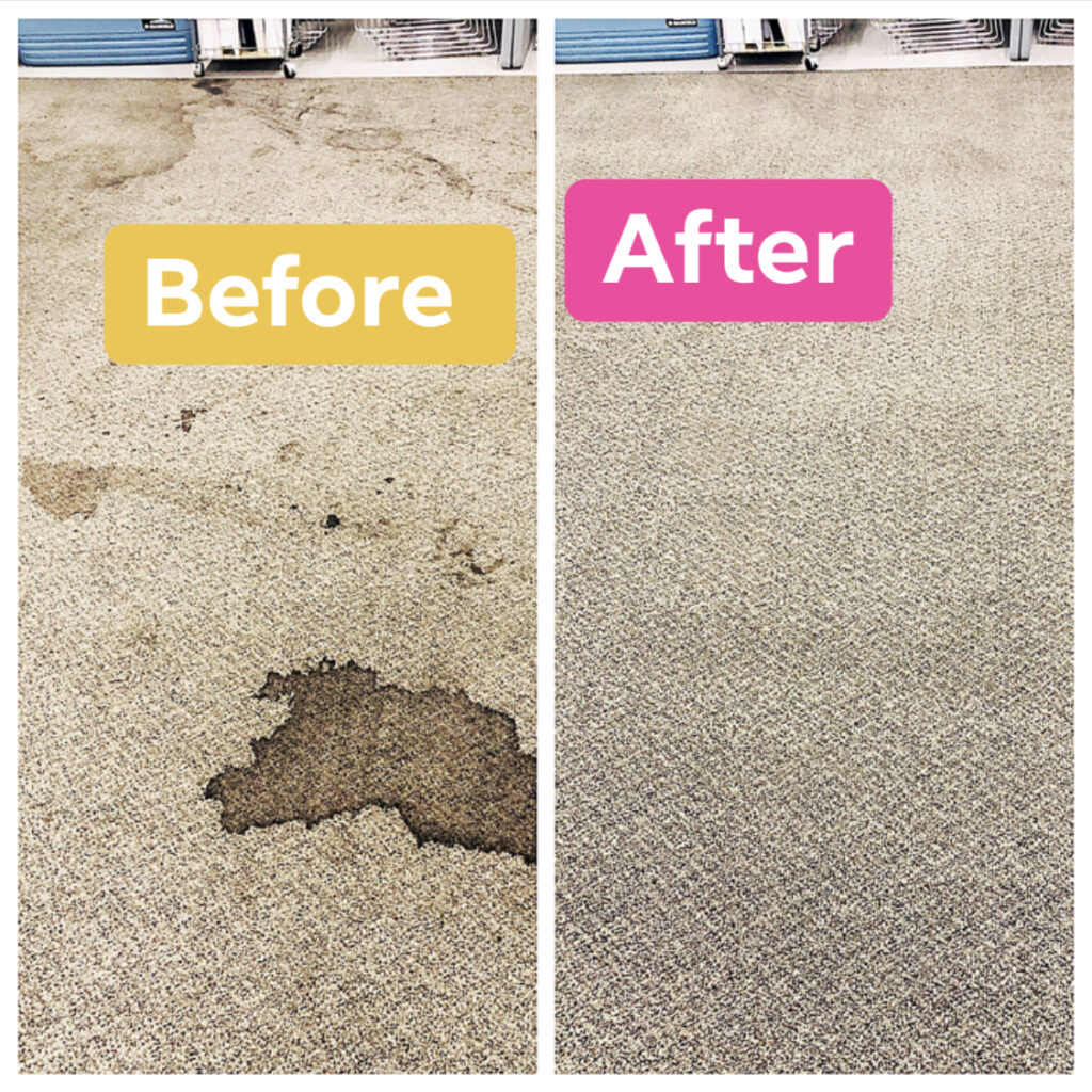 Before And After Carpet Cleaning San Antonio