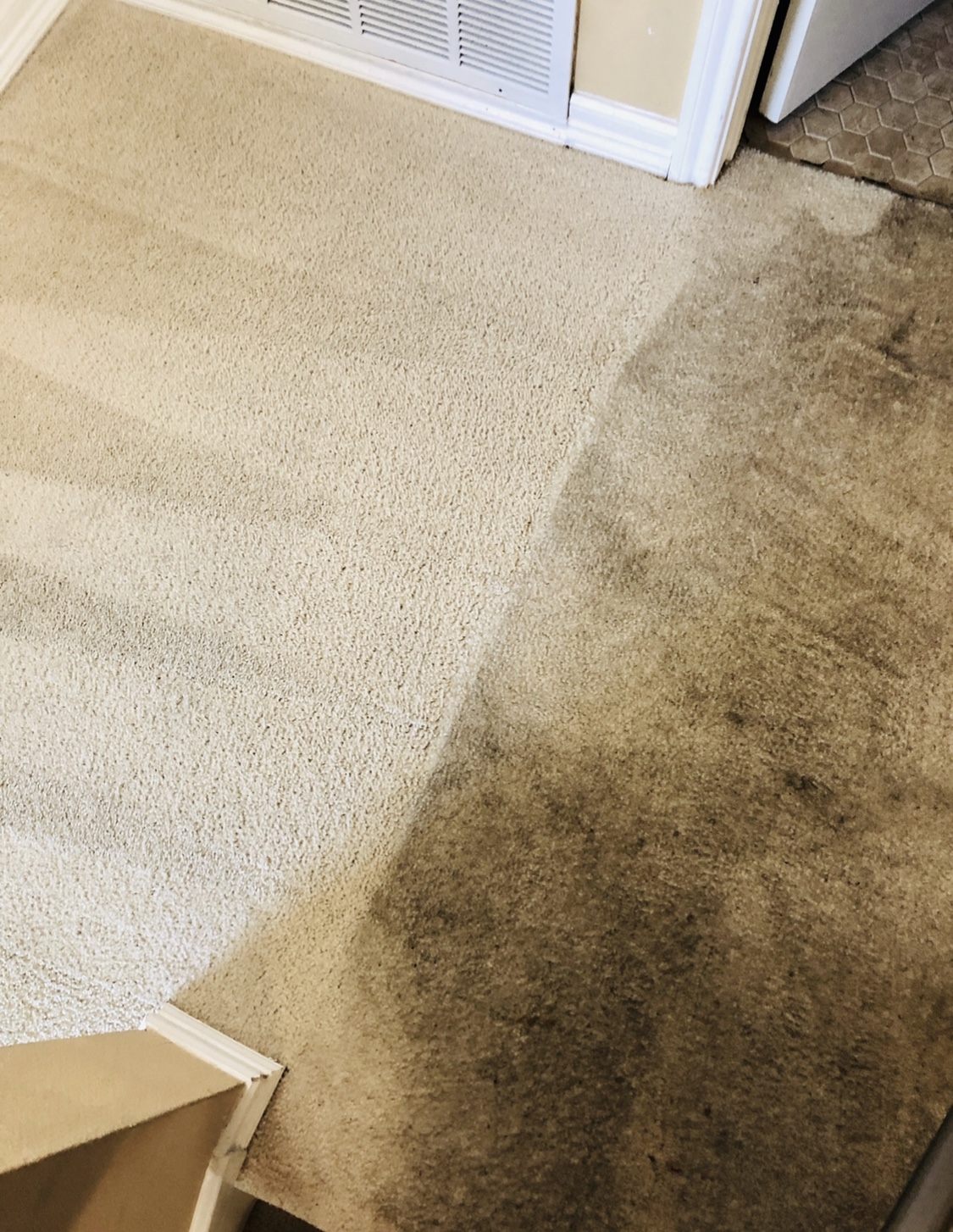 Dirty to Clean Carpet Cleaning San Antonio