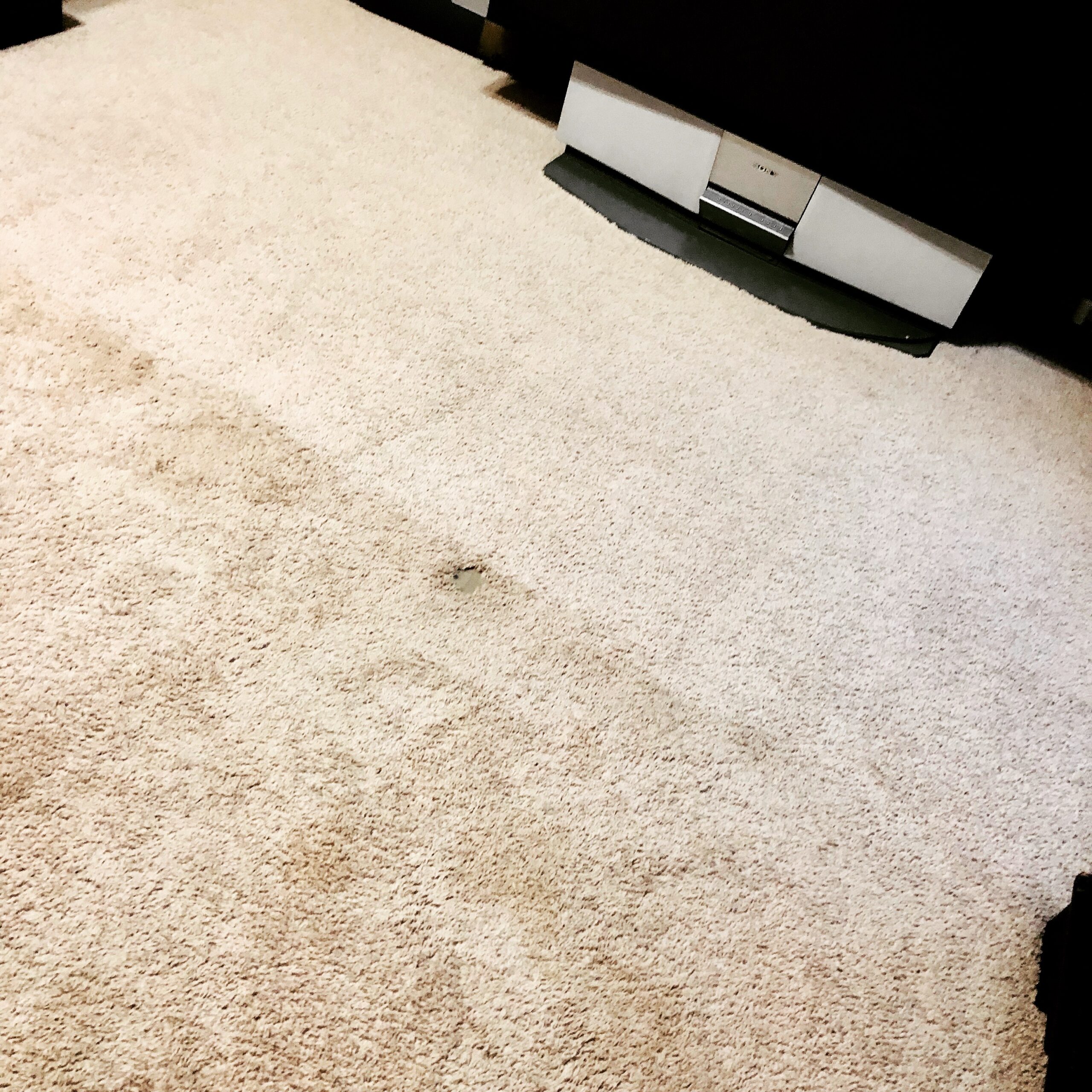 Carpet Cleaning San Antonio