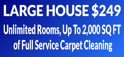Whole house carpet cleaning
