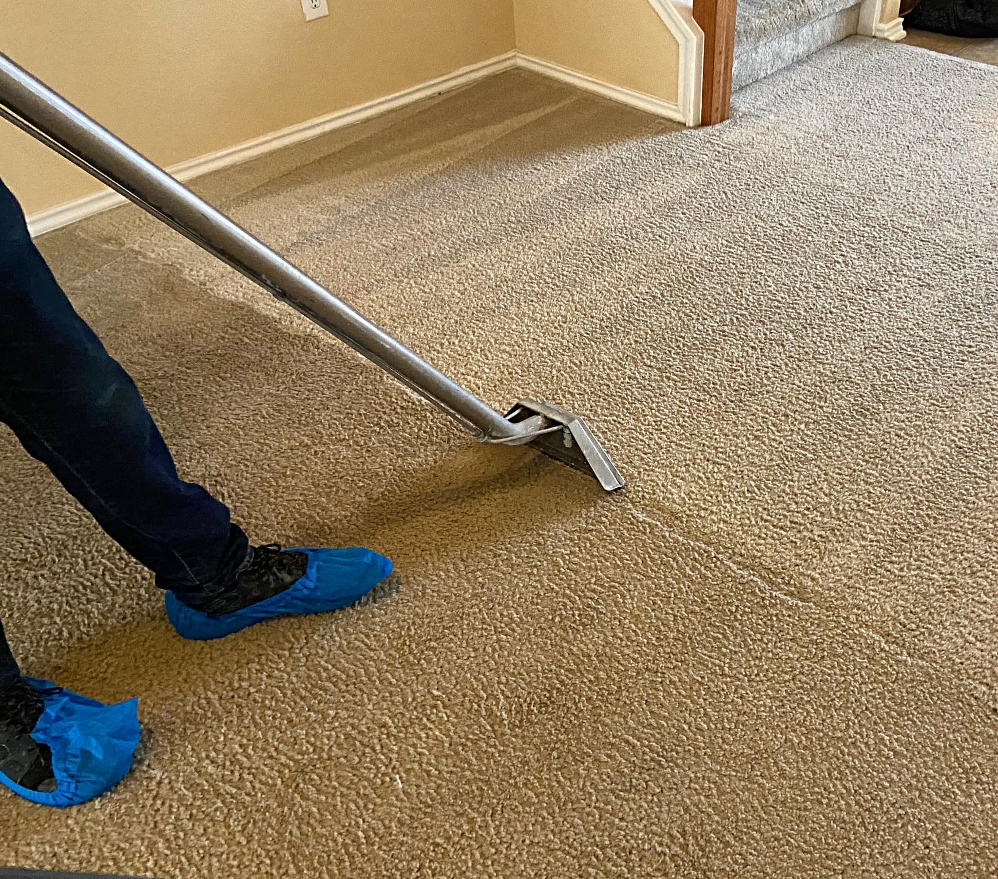 carpet cleaning san antonio