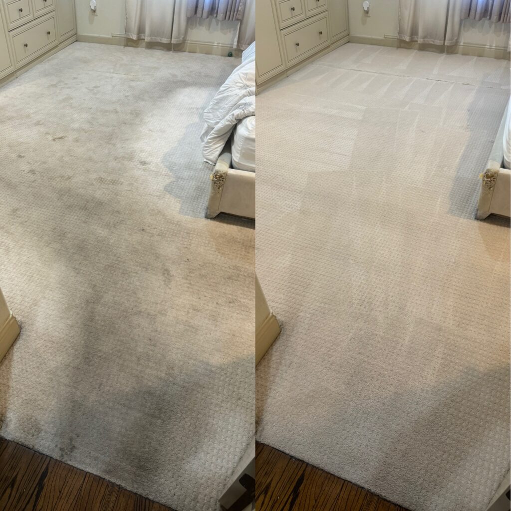 carpet cleaning san antonio