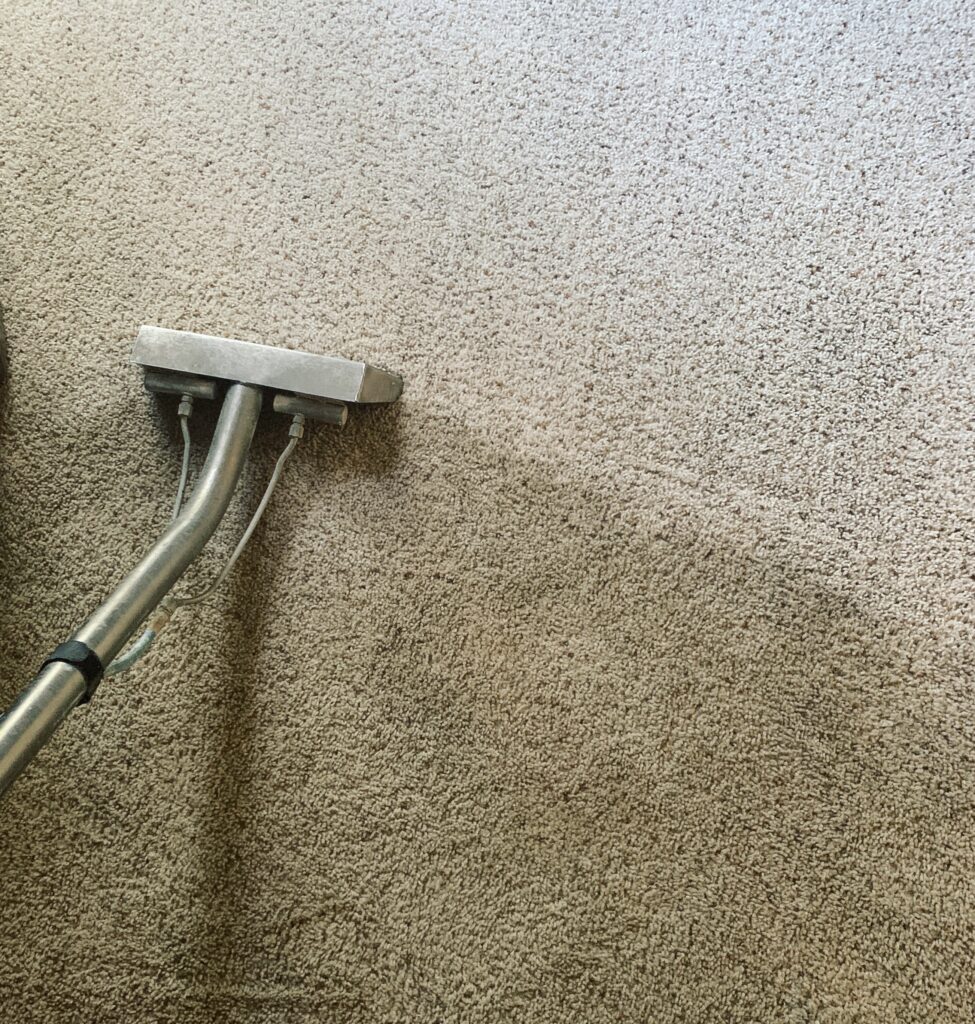 carpet cleaning san antonio