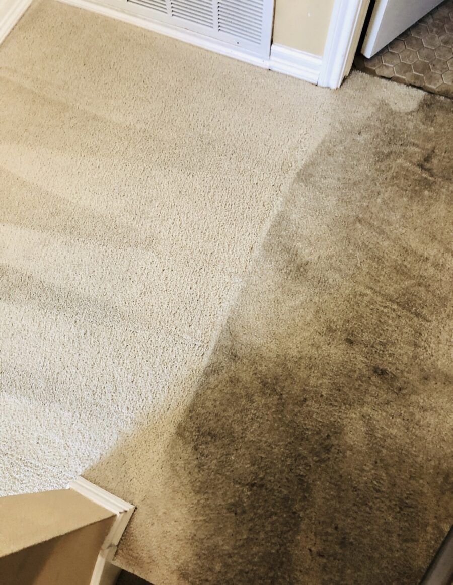 Commercial carpet cleaning san antonio