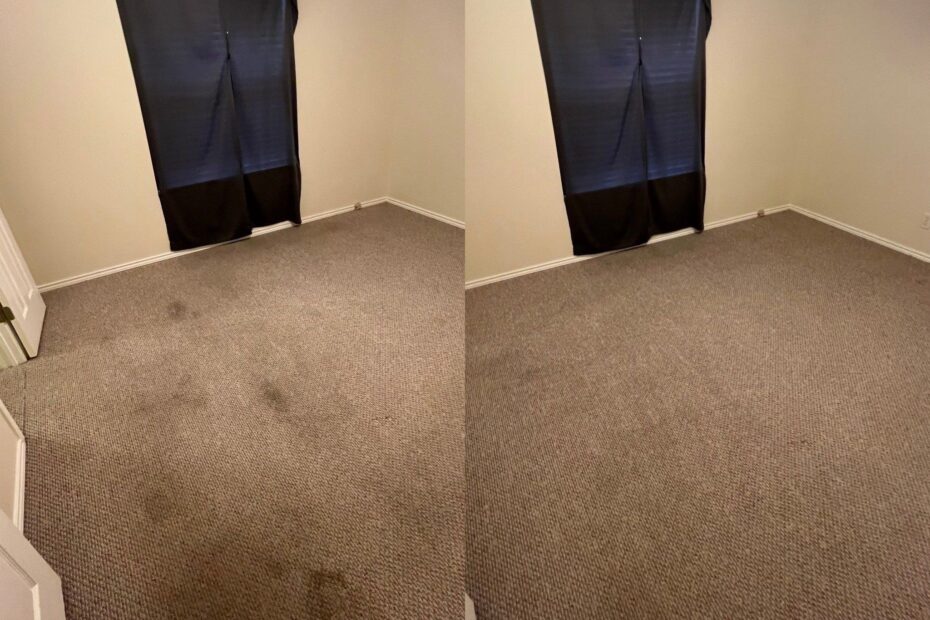 5 Star Whole House Carpet Cleaning in Schertz TX 78154 Beyer Carpet