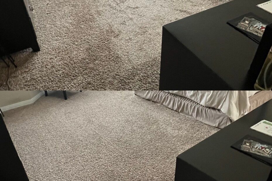 Our 5 Star Whole House Carpet Cleaning Project in Converse TX 78109