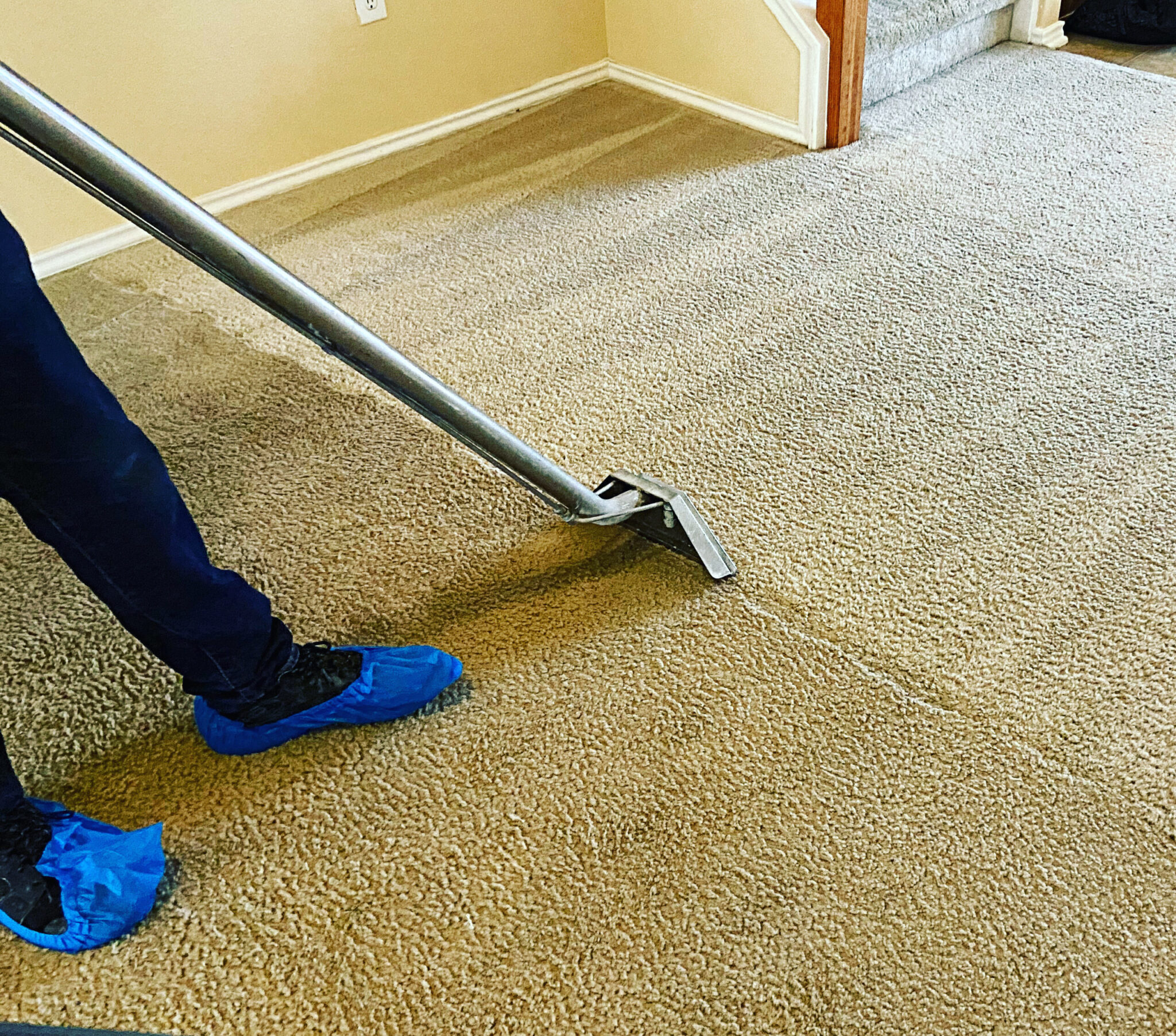 1 Carpet Cleaning Services San Antonio, TX Beyer Carpet Cleaning
