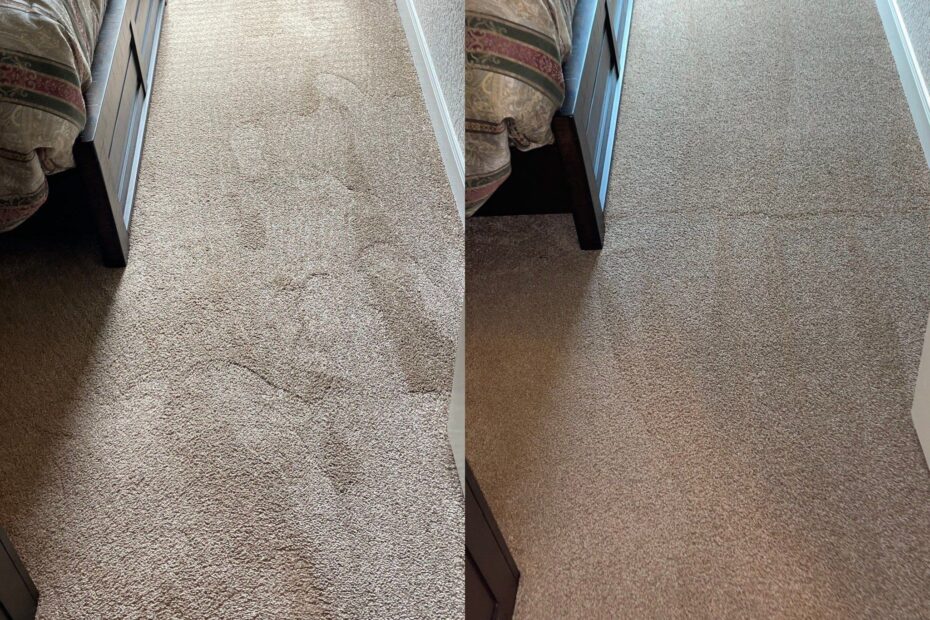 Truck Mount Carpet Cleaning San Antonio TX 78253 Beyer Carpet Cleaning