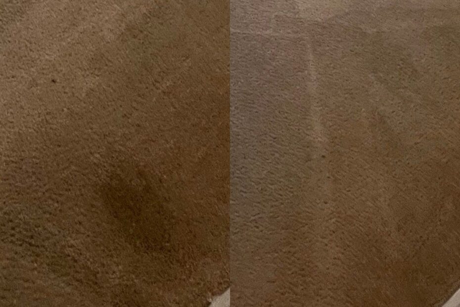 Drink Stain Steam Cleaning San Antonio TX 78249 Beyer Carpet Cleaning