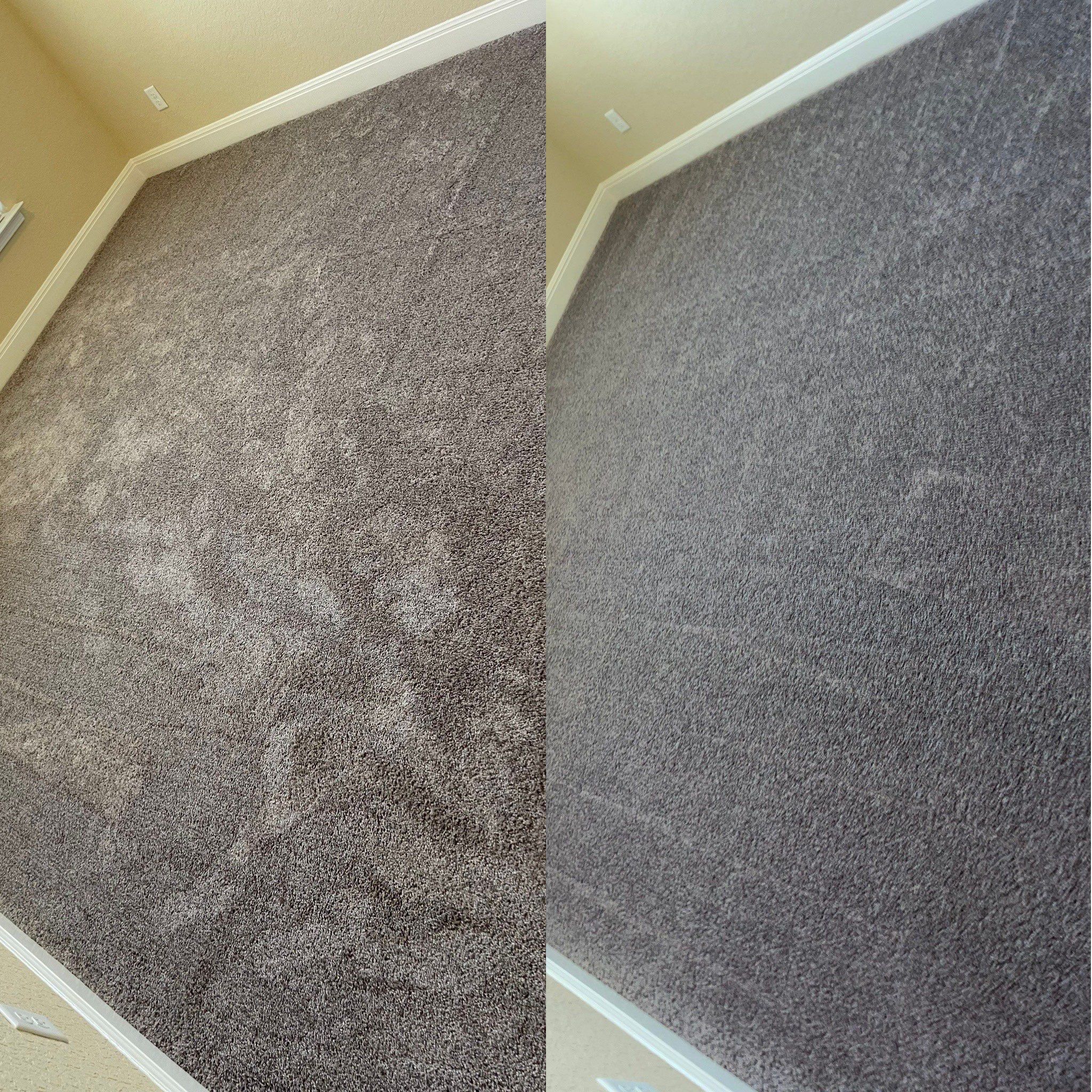 Area Rug Restoration Project in San Antonio  TX 78261