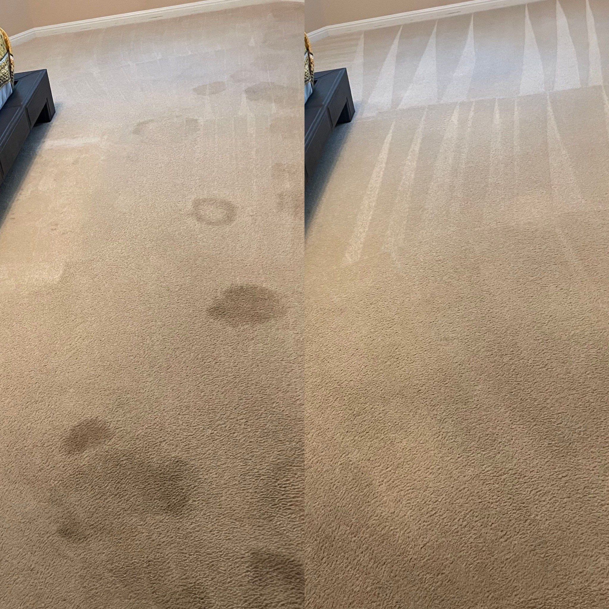 Pet Urine Removal Steam Cleaning Project in San Antonio TX 78258