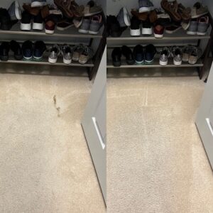 Pet Urine Removal Carpet Restoration Project in San Antonio TX 78253