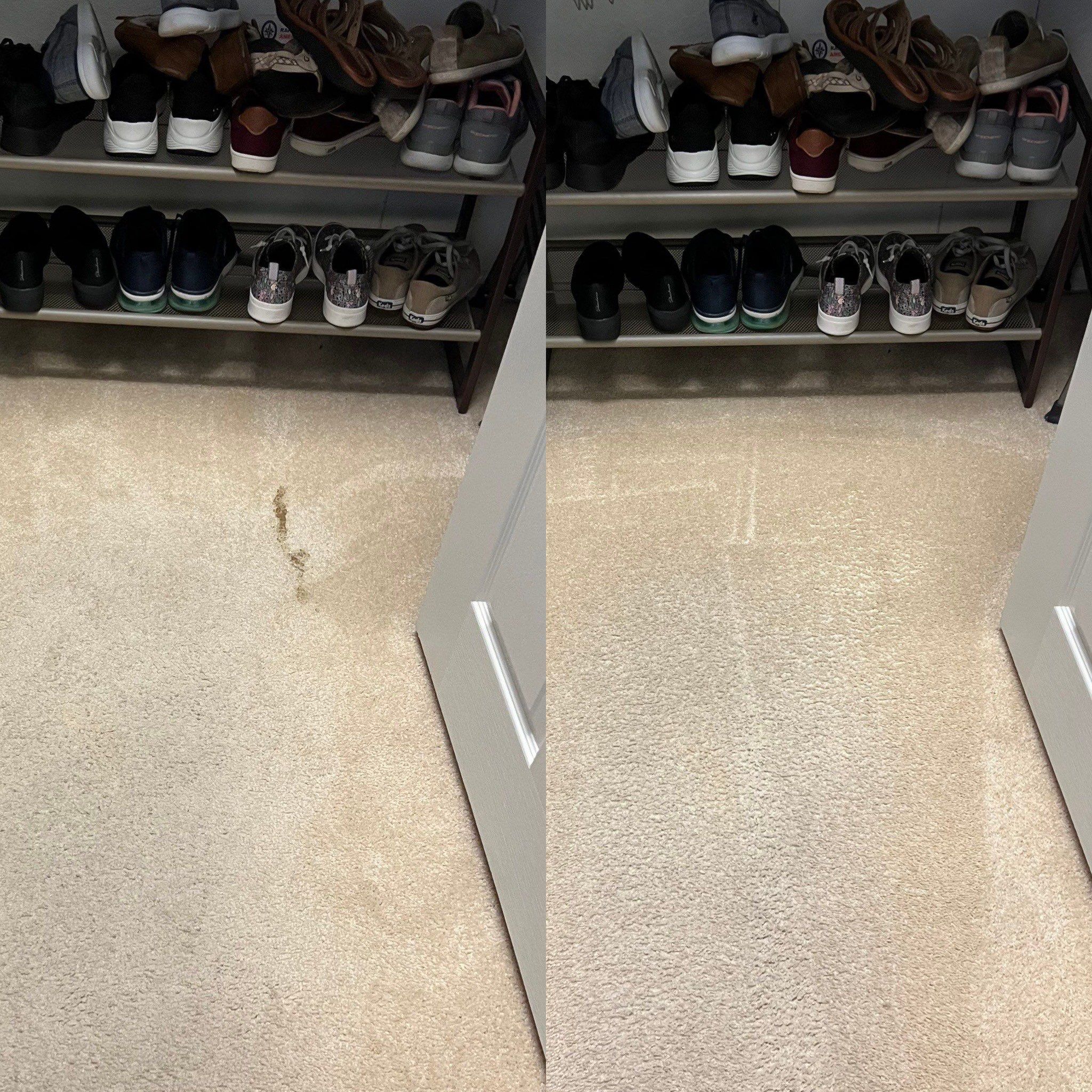 Pet Urine Removal Carpet Restoration Project in San Antonio TX 78253