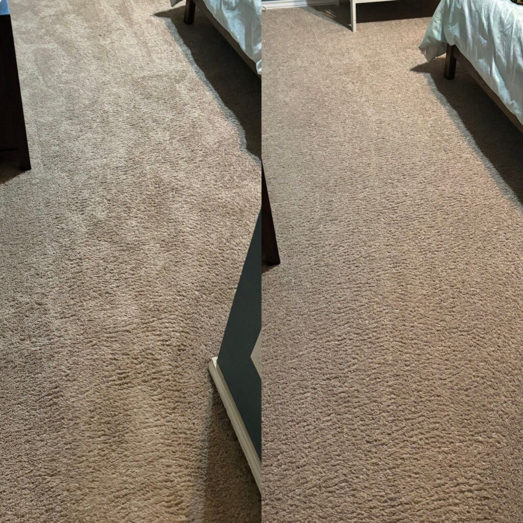 Impressive Carpet Restoration Project in Schertz TX 78154