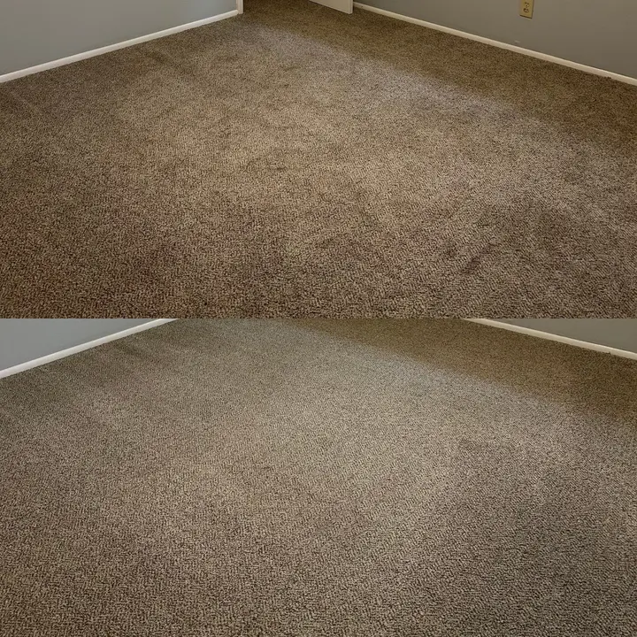 Exceptional Carpet Cleaning Restoration Project in San Antonio TX 78247
