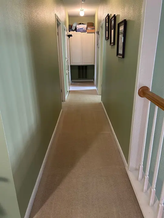 Expert Carpet Cleaning Service Project in San Antonio TX 78248