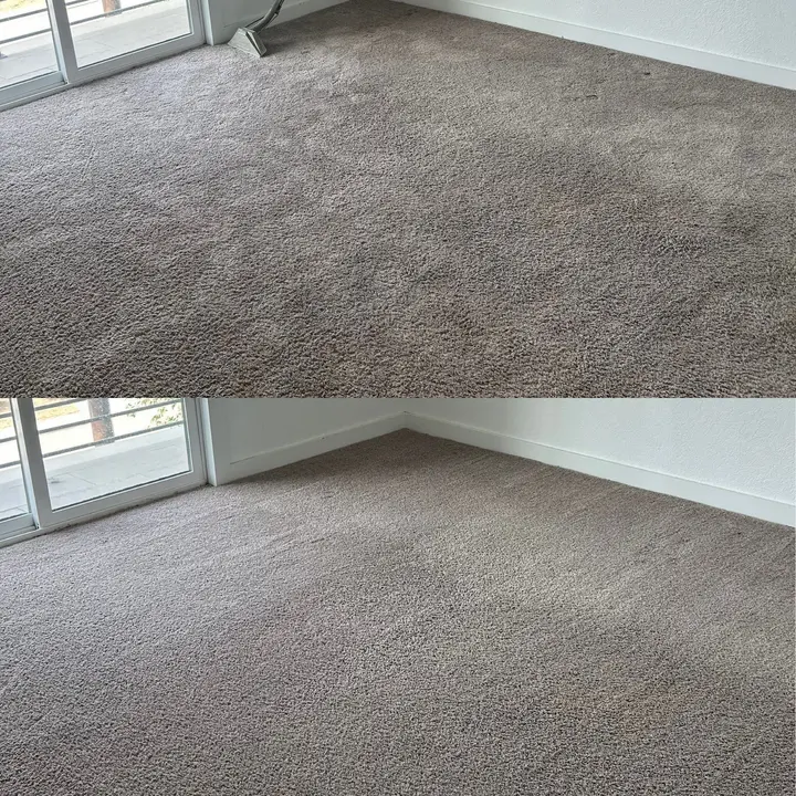 Incredible Carpet Cleaning Restoration Project in San Antonio TX 78203