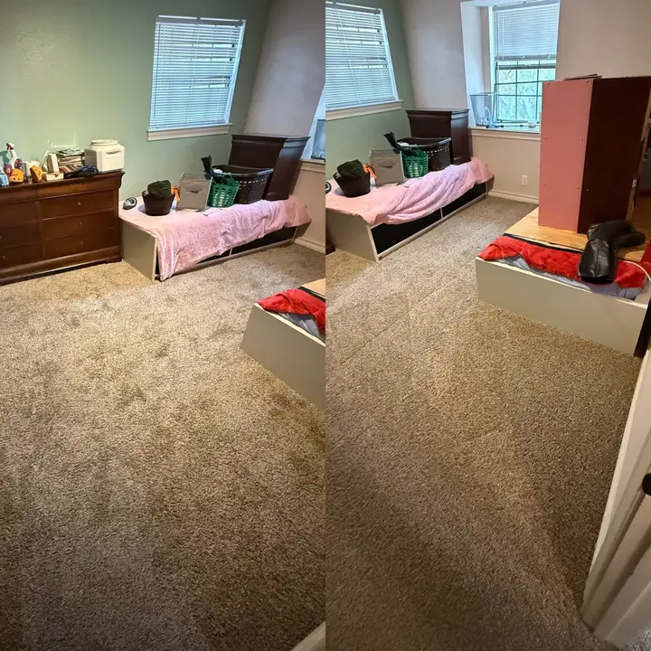 Pet Urine Removal Cleaning Project in San Antonio TX 78216