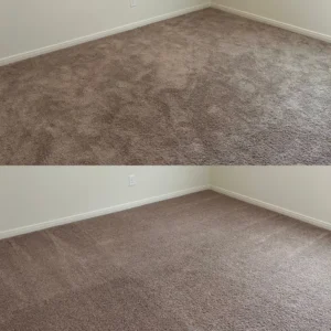 Professional Carpet Cleaning Service Project in San Antonio TX 78252