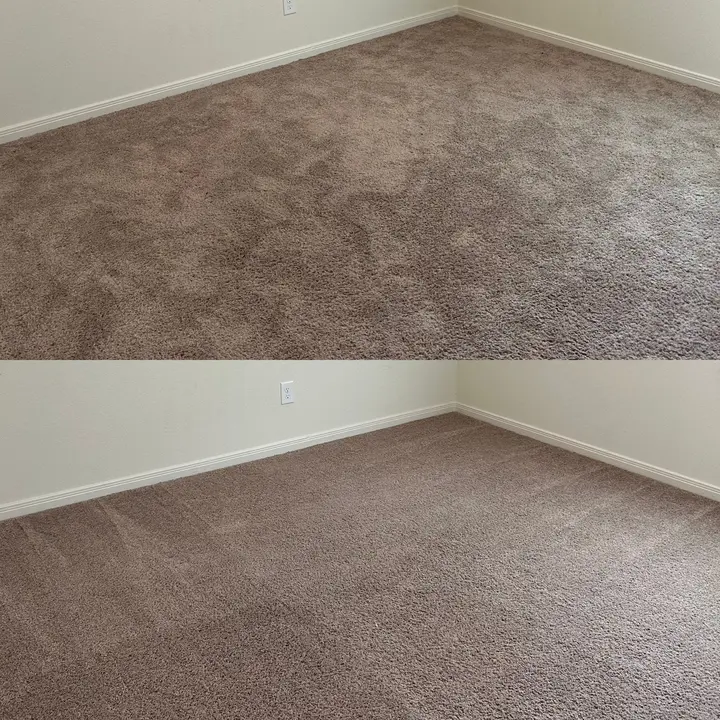 Professional Carpet Cleaning Service Project in San Antonio TX 78252