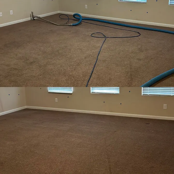 Professional Carpet Cleaning Service Project in San Antonio TX 78254