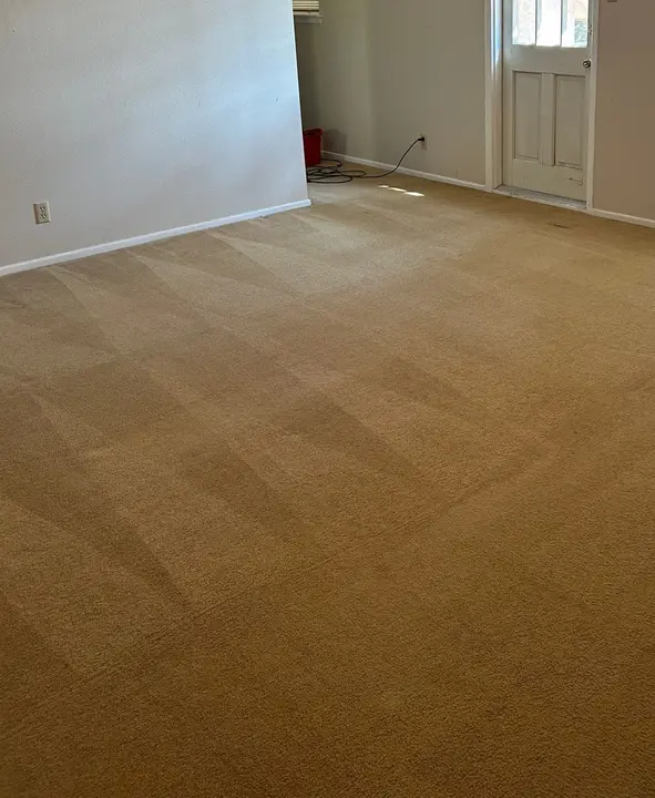 Steam Cleaning is the Only Way to Clean Carpets Correctly
