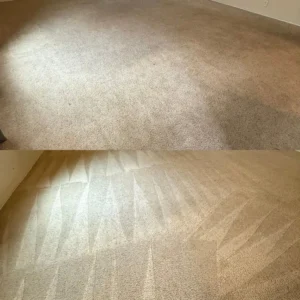 Essentials for Professional Carpet Cleaning in San Antonio Area