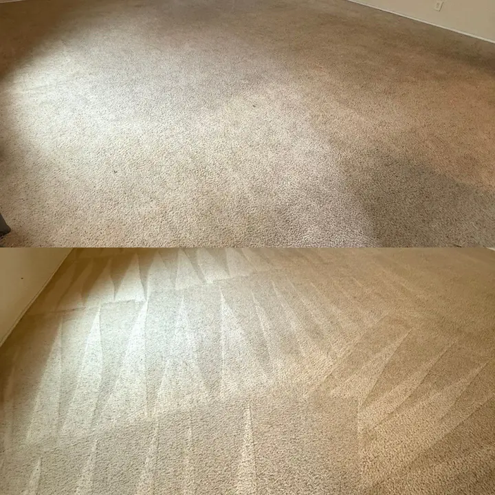 Essentials for Professional Carpet Cleaning in San Antonio Area