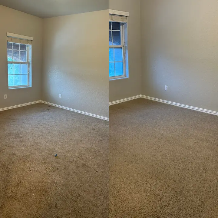 Expert Carpet Cleaning Restoration Project in Helotes TX 78023