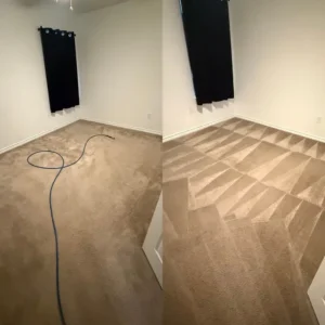 Expert Carpet Cleaning Restoration Project in San Antonio TX 78214